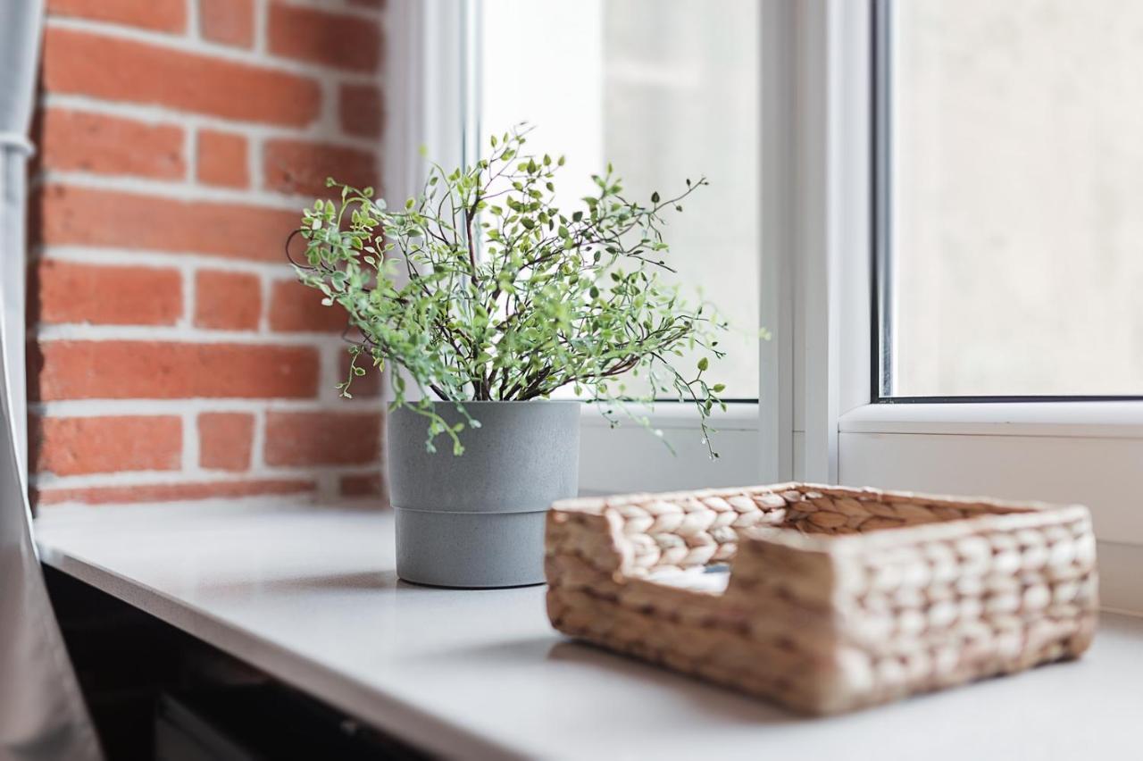 Right In The Heart Of Wroclaw Apartment Екстериор снимка